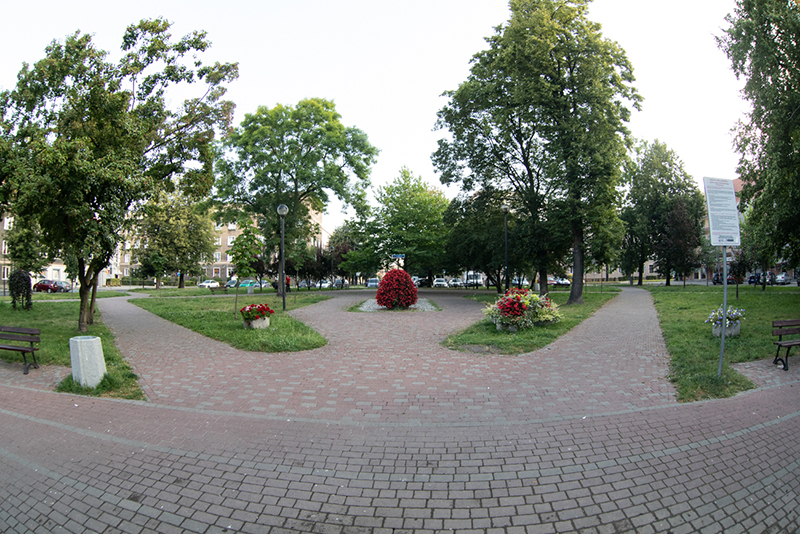 Park na Placu Piłsudskiego - kwiatowe kompozycje
