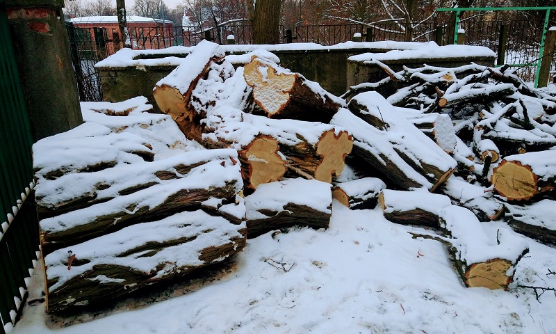 Stos pociętego drewna pod warstwą śniegu