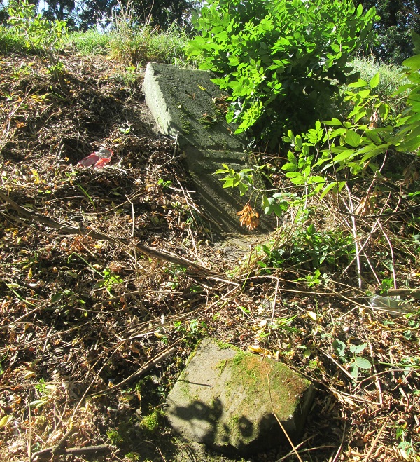 Zdjęcie rowu, gdzie odnaleziono kamień milowy