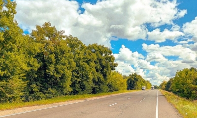 Droga ciągnąca się między drzewami, błękitne niebo pokryte chmurami