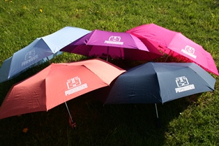 Pyskowickie parasolki