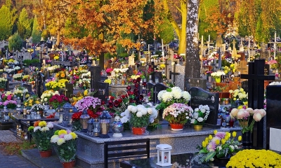 Cmentarz wśród liści, na grobach palą się znicze 